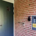 4 Star In Blåvand